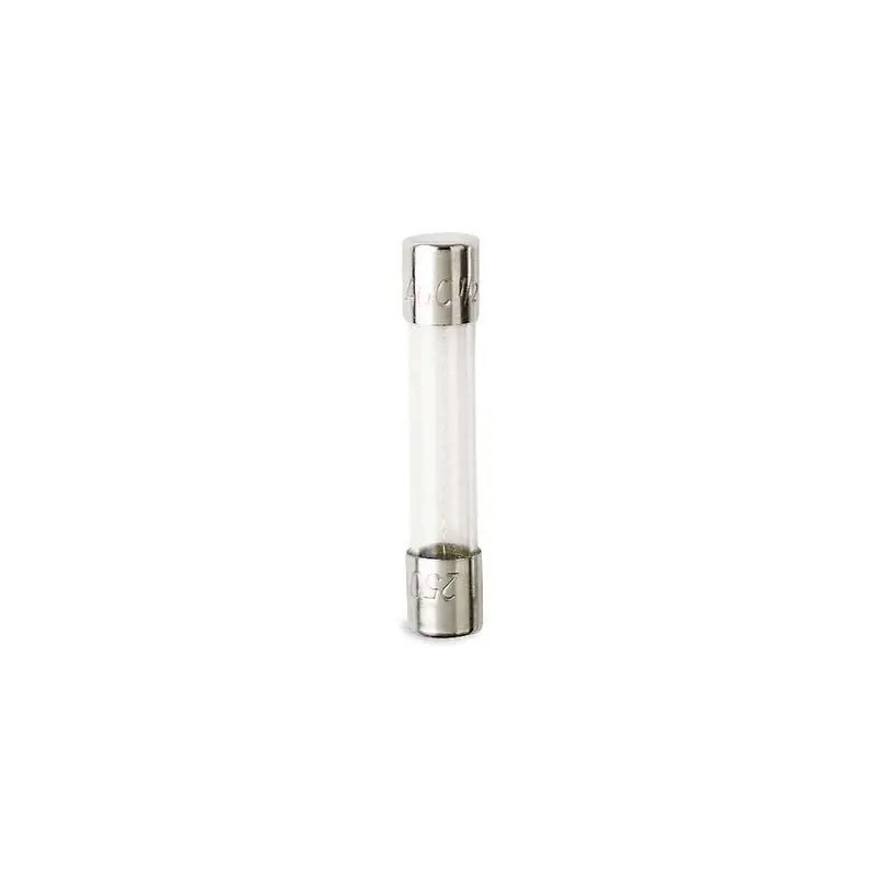 1-Amp Fast-Acting Standard Fuse – Compact Circuit Protection